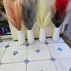 Pampas grass per stem